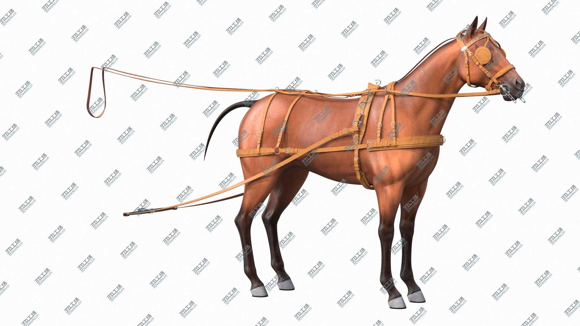 images/goods_img/20210313/3D Horse Leather Single Driving Harness model/2.jpg